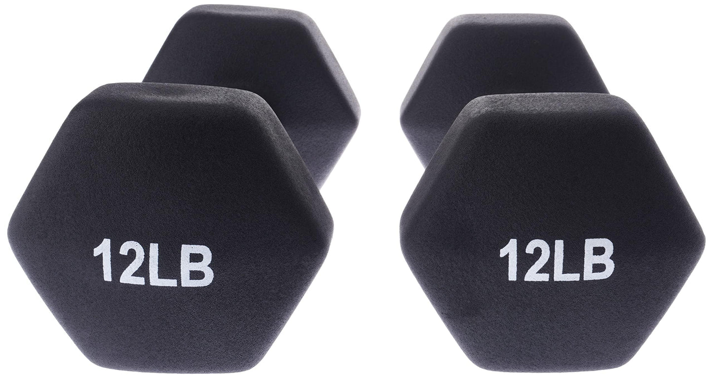 Hand Weight, 24 Pounds, 12 pound (Set of 2), Black