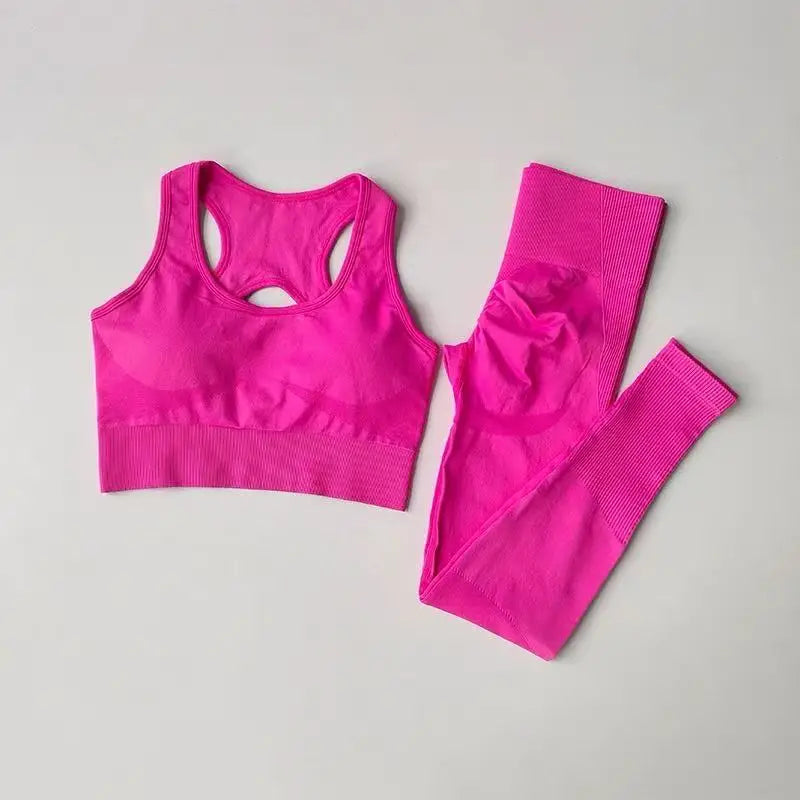 Conjunto de Sujetador deportivo para mujer, camiseta sin mangas profesional para Fitness, mallas para correr a prueba de golpes, traje de Yoga, ropa con sujetador trasero bonito, 2 uds.